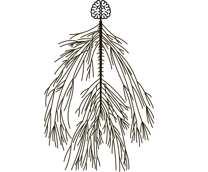 Иллюстрация к книге — Научное мировоззрение изменит вашу жизнь. Почему мы изучаем Вселенную и как это помогает нам понять самих себя? [i_016.jpg]