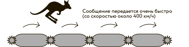Иллюстрация к книге — Научное мировоззрение изменит вашу жизнь. Почему мы изучаем Вселенную и как это помогает нам понять самих себя? [i_019.jpg]