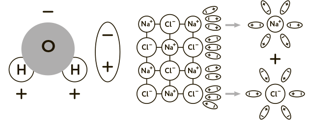 Иллюстрация к книге — Научное мировоззрение изменит вашу жизнь. Почему мы изучаем Вселенную и как это помогает нам понять самих себя? [i_021.jpg]