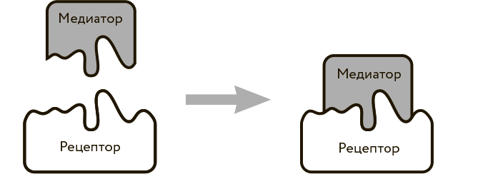 Иллюстрация к книге — Научное мировоззрение изменит вашу жизнь. Почему мы изучаем Вселенную и как это помогает нам понять самих себя? [i_032.jpg]