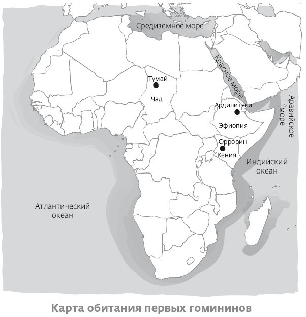 Иллюстрация к книге — Сапиенс для пляжа: изучаем происхождение человека [i_004.jpg]