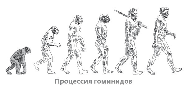 Иллюстрация к книге — Сапиенс для пляжа: изучаем происхождение человека [i_006.jpg]