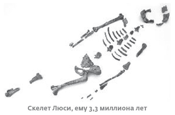 Иллюстрация к книге — Сапиенс для пляжа: изучаем происхождение человека [i_010.jpg]