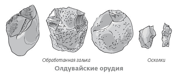 Иллюстрация к книге — Сапиенс для пляжа: изучаем происхождение человека [i_017.jpg]