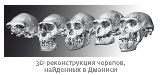 Иллюстрация к книге — Сапиенс для пляжа: изучаем происхождение человека [i_021.jpg]