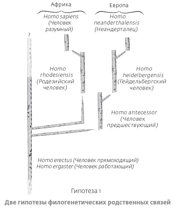 Иллюстрация к книге — Сапиенс для пляжа: изучаем происхождение человека [i_022.jpg]