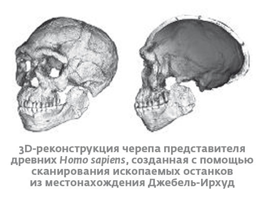 Иллюстрация к книге — Сапиенс для пляжа: изучаем происхождение человека [i_028.jpg]