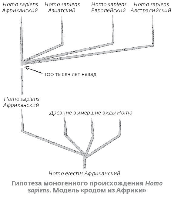 Иллюстрация к книге — Сапиенс для пляжа: изучаем происхождение человека [i_030.jpg]