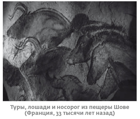 Иллюстрация к книге — Сапиенс для пляжа: изучаем происхождение человека [i_038.jpg]