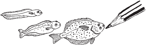 Иллюстрация к книге — Красноречие сардинки. Невероятные истории подводного мира [i_005.jpg]