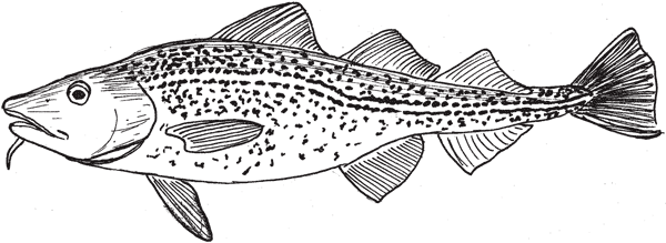 Иллюстрация к книге — Красноречие сардинки. Невероятные истории подводного мира [i_009.jpg]