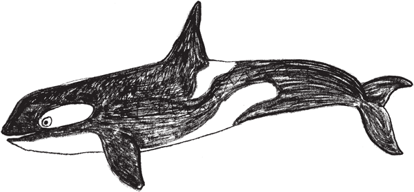 Иллюстрация к книге — Красноречие сардинки. Невероятные истории подводного мира [i_016.jpg]