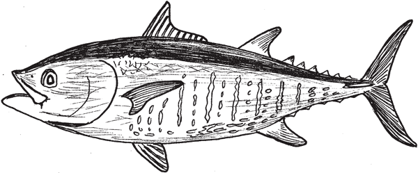 Иллюстрация к книге — Красноречие сардинки. Невероятные истории подводного мира [i_017.jpg]