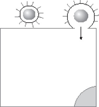 Иллюстрация к книге — Иммунитет умнее мозга. Главная система нашего организма [i_009.jpg]