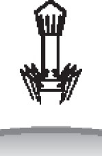 Иллюстрация к книге — Иммунитет умнее мозга. Главная система нашего организма [i_012.jpg]