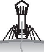 Иллюстрация к книге — Иммунитет умнее мозга. Главная система нашего организма [i_014.jpg]