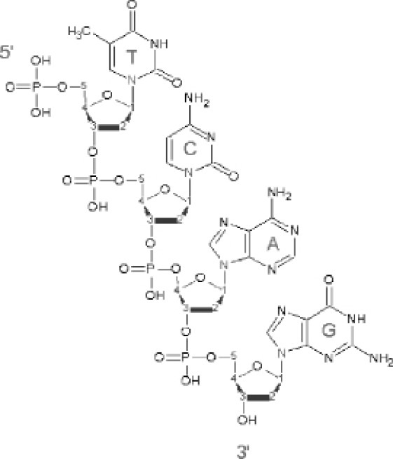 Иллюстрация к книге — Иммунитет умнее мозга. Главная система нашего организма [i_017.jpg]