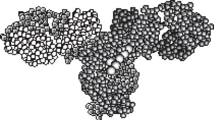 Иллюстрация к книге — Иммунитет умнее мозга. Главная система нашего организма [i_024.jpg]