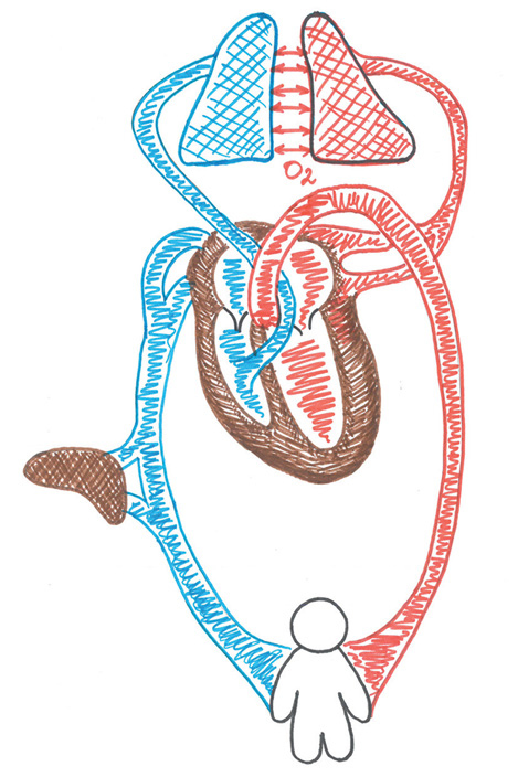 Иллюстрация к книге — Как жить после инфаркта [i_001.jpg]