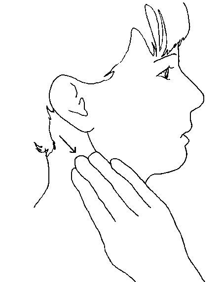 Иллюстрация к книге — Исцеление головной боли. Комплексная практическая программа самопомощи [i_047.jpg]