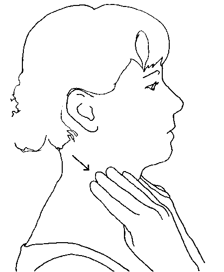 Иллюстрация к книге — Исцеление головной боли. Комплексная практическая программа самопомощи [i_048.jpg]