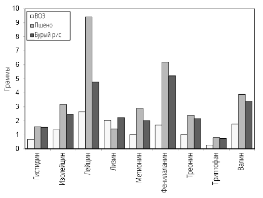 Иллюстрация к книге — Справочник сыроеда. Краткое руководство по питанию свежей растительной пищей [i_060.jpg]
