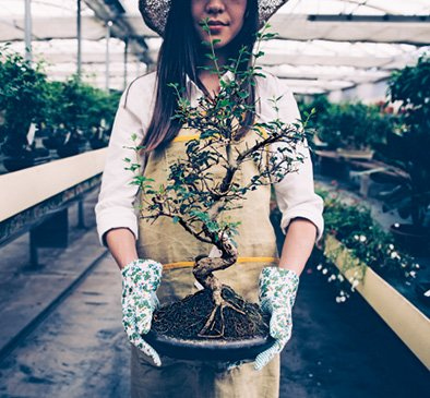 Иллюстрация к книге — Кайдзен. Японский метод трансформации привычек маленькими шагами [i_022.jpg]