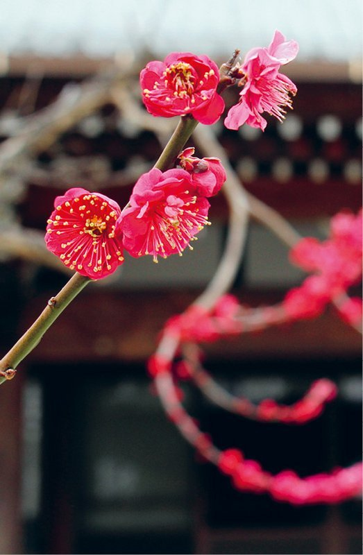 Иллюстрация к книге — Кайдзен. Японский метод трансформации привычек маленькими шагами [i_034.jpg]