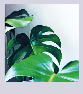 Иллюстрация к книге — Кайдзен. Японский метод трансформации привычек маленькими шагами [i_045.jpg]