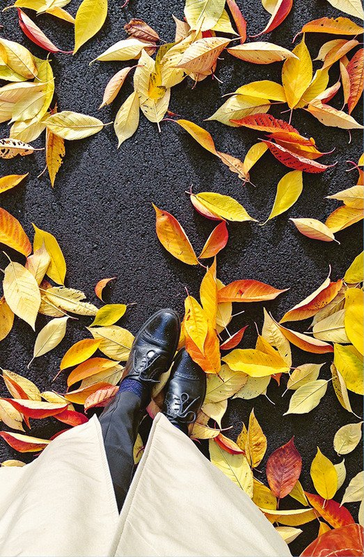 Иллюстрация к книге — Кайдзен. Японский метод трансформации привычек маленькими шагами [i_046.jpg]