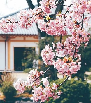 Иллюстрация к книге — Кайдзен. Японский метод трансформации привычек маленькими шагами [i_100.jpg]