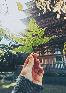 Иллюстрация к книге — Кайдзен. Японский метод трансформации привычек маленькими шагами [i_101.jpg]