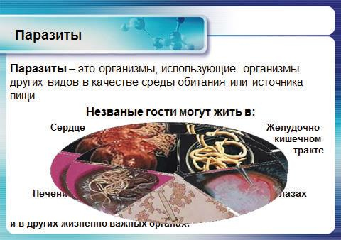 Иллюстрация к книге — Аллергия. Истинные причины. Лечение [i_004.jpg]