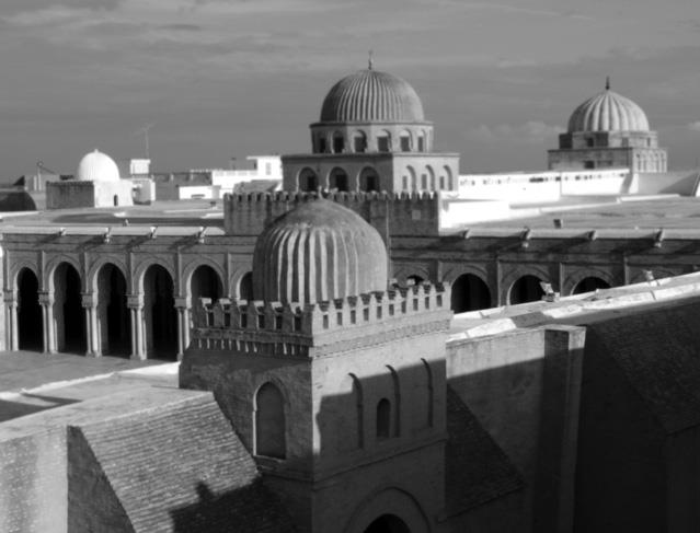 Иллюстрация к книге — Страны Магриба. Тунис. Независимое государство на руинах Карфагена [i_043.jpg]