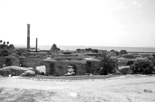 Иллюстрация к книге — Страны Магриба. Тунис. Независимое государство на руинах Карфагена [i_078.jpg]