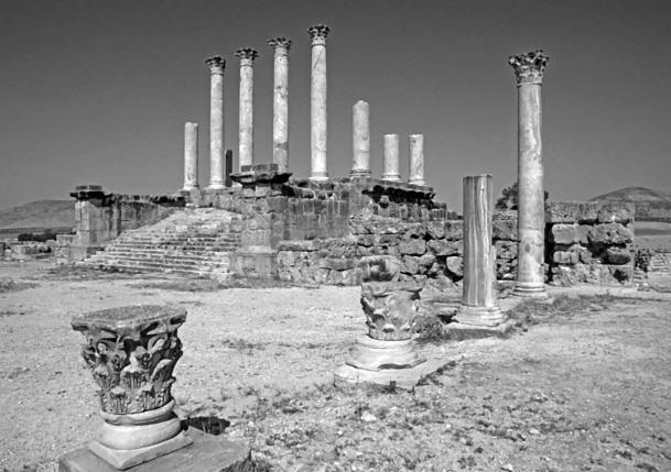 Иллюстрация к книге — Страны Магриба. Тунис. Независимое государство на руинах Карфагена [i_087.jpg]