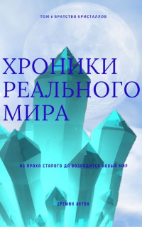 Книга Хроники Реального мира. Том 6. Братство кристаллов