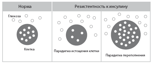 Иллюстрация к книге — Код диабета. Научные данные о том, как диабет 2-го типа стал самой «внезапной» болезнью столетия, и простая программа восстановления без инъекций и лекарств [i_058.jpg]