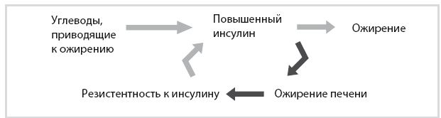 Иллюстрация к книге — Код диабета. Научные данные о том, как диабет 2-го типа стал самой «внезапной» болезнью столетия, и простая программа восстановления без инъекций и лекарств [i_063.jpg]