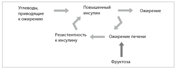 Иллюстрация к книге — Код диабета. Научные данные о том, как диабет 2-го типа стал самой «внезапной» болезнью столетия, и простая программа восстановления без инъекций и лекарств [i_073.jpg]