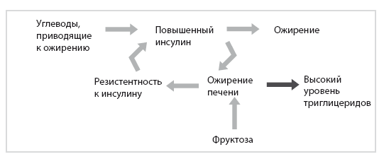 Иллюстрация к книге — Код диабета. Научные данные о том, как диабет 2-го типа стал самой «внезапной» болезнью столетия, и простая программа восстановления без инъекций и лекарств [i_082.jpg]