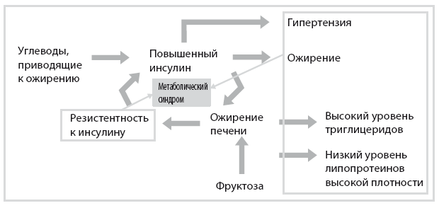 Иллюстрация к книге — Код диабета. Научные данные о том, как диабет 2-го типа стал самой «внезапной» болезнью столетия, и простая программа восстановления без инъекций и лекарств [i_086.jpg]