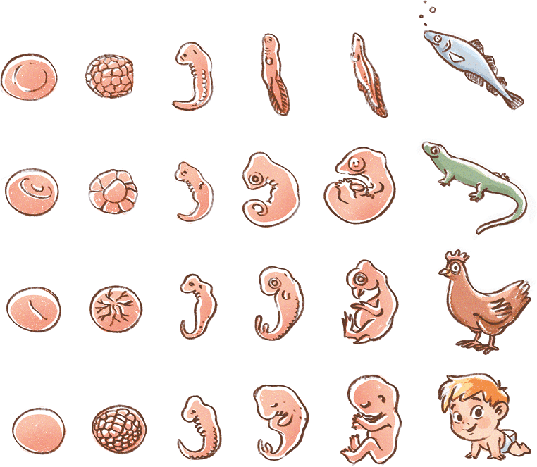 Иллюстрация к книге — Психология для ребят. Новые истории Дуни и кота Киселя [i_006.jpg]