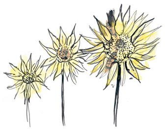 Иллюстрация к книге — Время услышать себя. Практики осознанности, доброты и сострадания к себе на целый год [img_12.jpg]