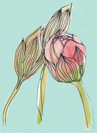 Иллюстрация к книге — Время услышать себя. Практики осознанности, доброты и сострадания к себе на целый год [img_139.jpg]