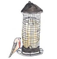 Иллюстрация к книге — Время услышать себя. Практики осознанности, доброты и сострадания к себе на целый год [img_140.jpg]