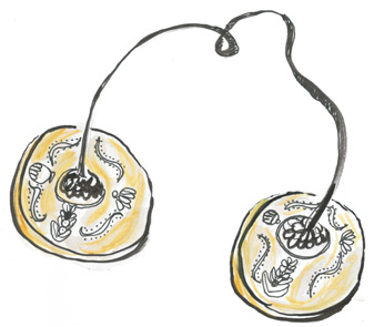 Иллюстрация к книге — Время услышать себя. Практики осознанности, доброты и сострадания к себе на целый год [img_26.jpg]