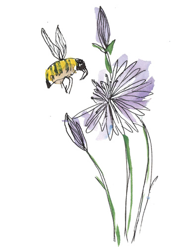 Иллюстрация к книге — Время услышать себя. Практики осознанности, доброты и сострадания к себе на целый год [img_29.jpg]