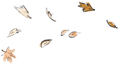 Иллюстрация к книге — Время услышать себя. Практики осознанности, доброты и сострадания к себе на целый год [img_49.jpg]