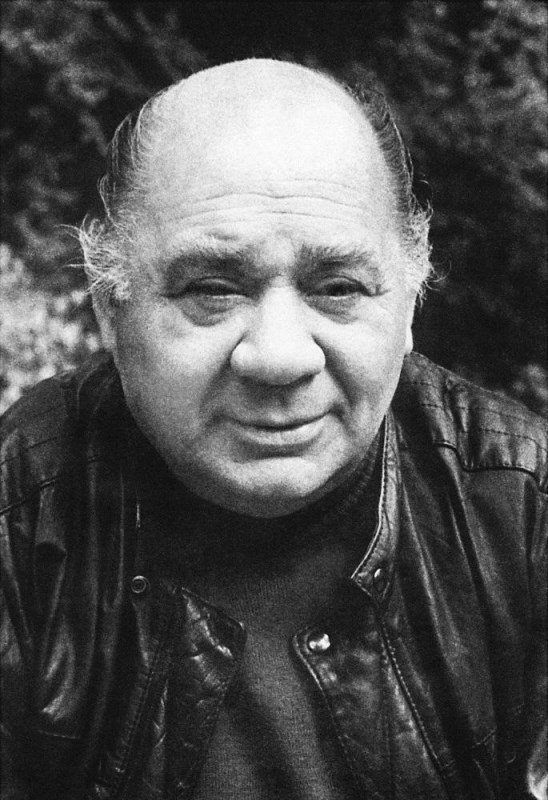 Иллюстрация к книге — Письма сыну [image43.jpg]